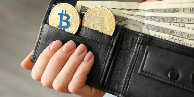 How Do Bitcoin Wallets Work